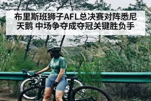 布里斯班狮子AFL总决赛对阵悉尼天鹅 中场争夺成夺冠关键胜负手 - kaiyun